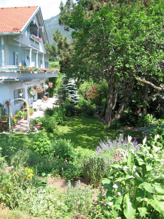 Naturkraeuterhaus Eder Iselsberg Exterior foto